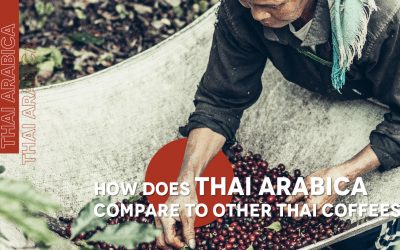 Thai Arabica vs. Robusta: What’s the Difference?