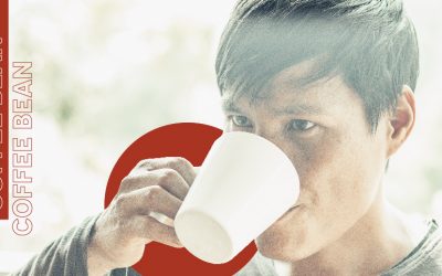 Why They Love Thai Arabica Coffee