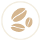 Coffee Bean