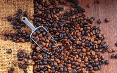 A Guide to Drip Coffee at Home