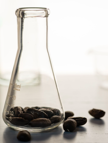 Why Your Brain Loves (Red Cliff) Coffee